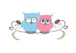 owls-love-37524188