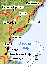 Christchurch to Kaikoura