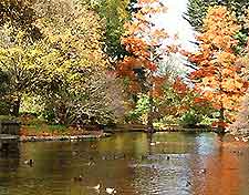 Hagley Park, autumn and the Avon