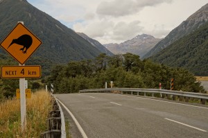 kiwi-crossing-sign-on-sh73-east-of-arthurs-pass